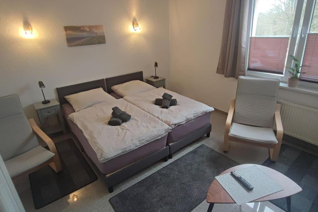 Hehlentor-City Gaeste Wohnung Celle Bagian luar foto