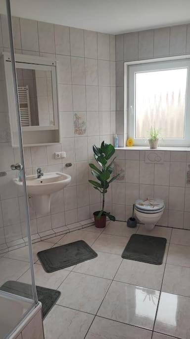 Hehlentor-City Gaeste Wohnung Celle Bagian luar foto